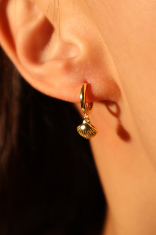 18K Gold Vermeil Sea Shell Earrings