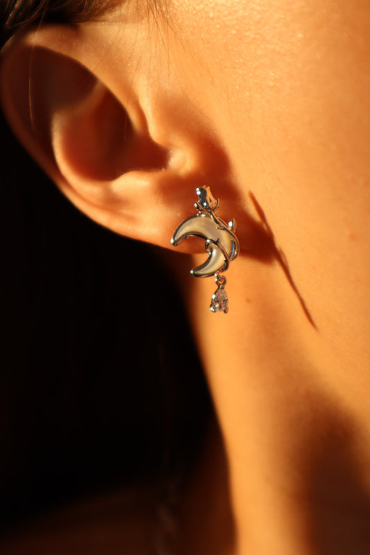 Platinum Plated Moon Star Earrings