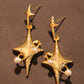 18K Real Gold Plated Saturn Star Earrings