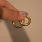 18K Real Gold Stainless Steel Classic Hoops Earrings