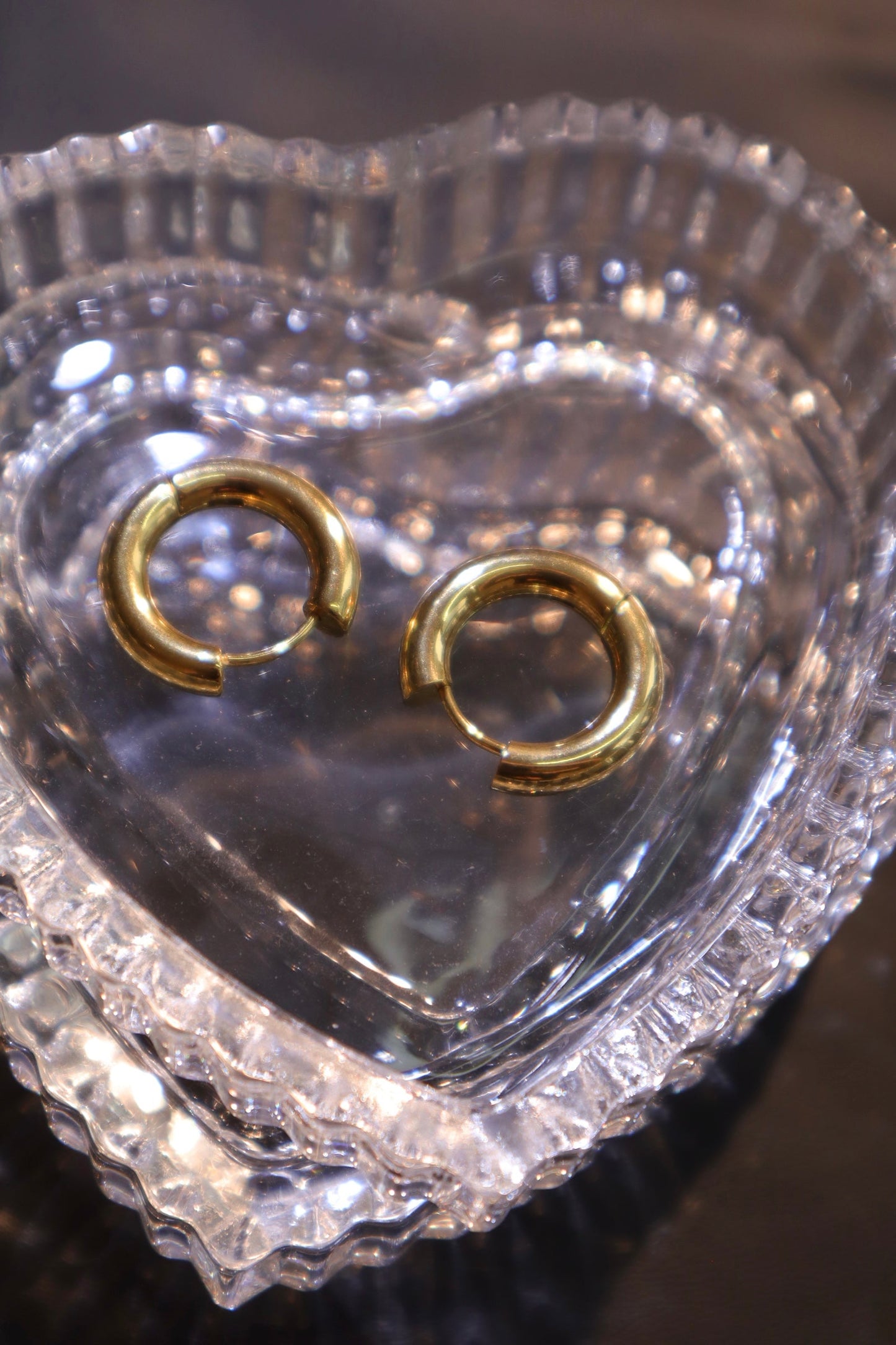 18K Real Gold Stainless Steel Classic Hoops Earrings